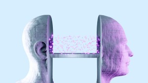 Two large stone heads face opposite directions with their inner sides hollowed out and connected by a horizontal bridge. Purple glowing particles float between the hollow sections, symbolizing the transfer or exchange of information or ideas. The heads have a textured, carved appearance and are set against a light blue background.