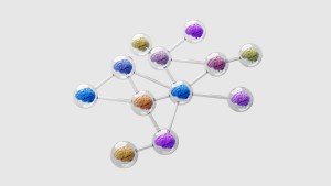 A network of interconnected transparent spheres, each containing a small, colorful brain model in shades of blue, purple, pink, yellow, and orange, connected by thin rods against a light gray background.